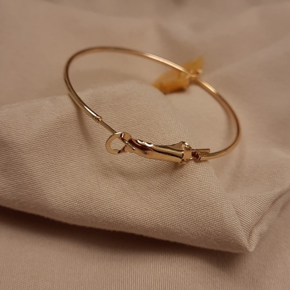 Acrylic Butterfly Hoop Earrings - Picture 11 of 12